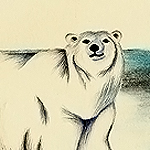 Eisb&auml;r, Ursus maritimus, Polar Bear, ours polaire,